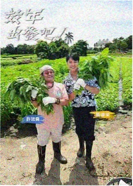 新西游记 韩剧电影在线观看
